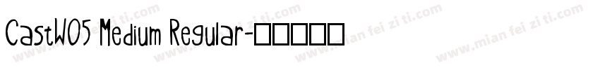 CastW05 Medium Regular字体转换